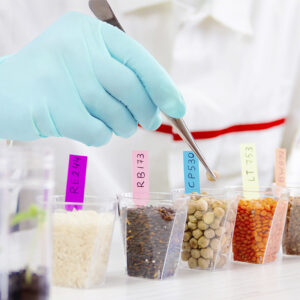 Raccolta di campioni