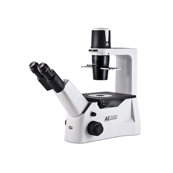 Microscopio biologico rovesciato MOTIC serie AE2000