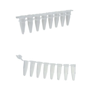 Strip di microprovette per PCR