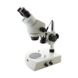 Stereomicroscopio L90