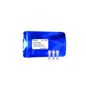 Taq polimerasi con buffer verde x-VITA