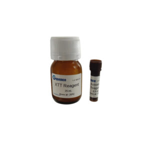 Kit di proliferazione cellulare XTT