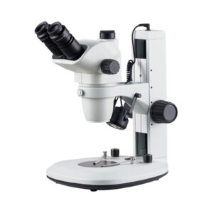 STEREOMICROSCOPIO PREMIUM, L100