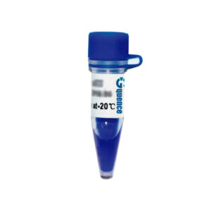 MARCATORE DI PESO MOLECOLARE PER PROTEINE OXGEN